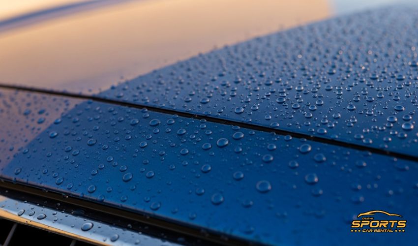 How to Remove Bird Poop Stain from Car and protect car paint